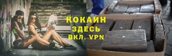 крисы Осташков
