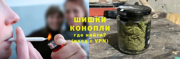 гидропоника Осинники