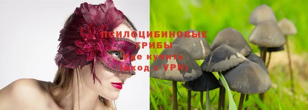 крисы Осташков