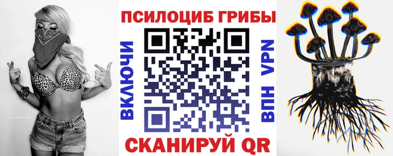 Купить  Магнитогорск  Псилоцибиновые грибы Psilocybine cubensis 